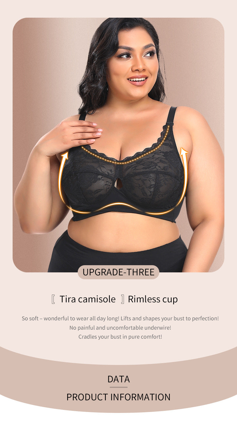 Thin no steel ring lace underwear - WOOLX