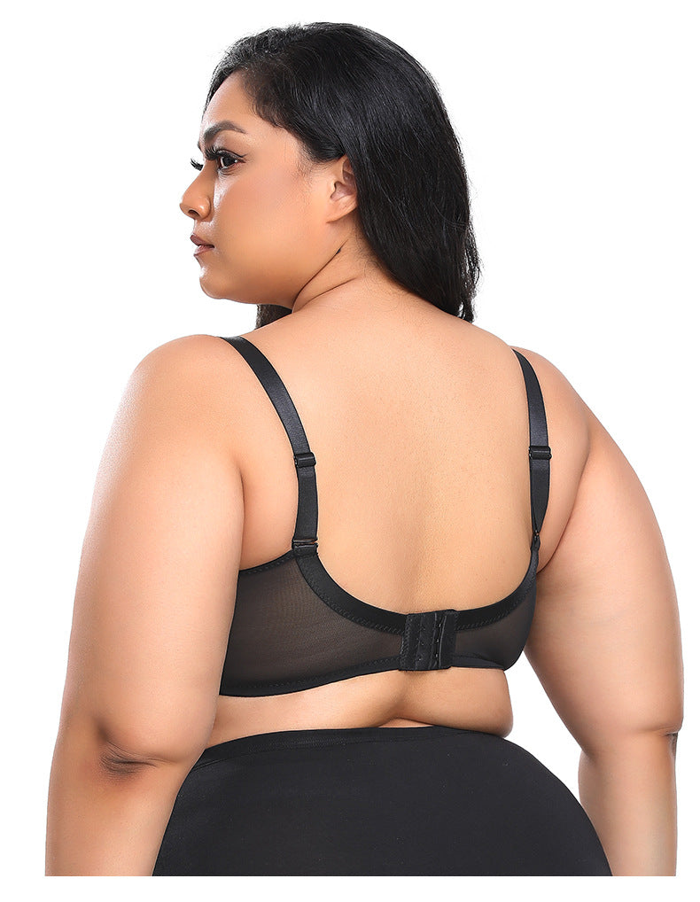 Thin no steel ring lace underwear - WOOLX